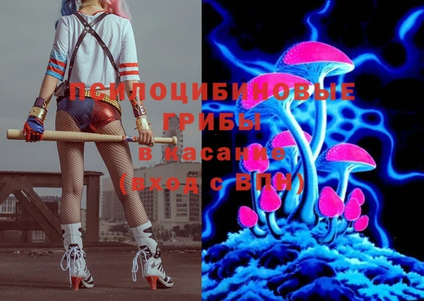 соль ск Корсаков