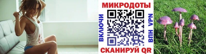 наркота  Борисоглебск  Псилоцибиновые грибы MAGIC MUSHROOMS 
